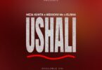 AUDIO Meja Kunta Ft. Kidochu Mc X Elisha – Ushali MP3 DOWNLOAD