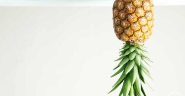 Upside Down Pineapple Meaning Revealed - The Secret Meaning