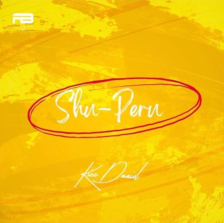 Listen to Kizz Daniel - Shu-Peru Song