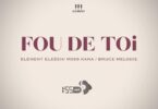 AUDIO Element Eleeeh - Fou De Toi Ft Ross Kana X Bruce Melodie MP3 DOWNLOAD