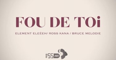 AUDIO Element Eleeeh - Fou De Toi Ft Ross Kana X Bruce Melodie MP3 DOWNLOAD