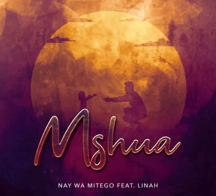 AUDIO Nay Wa Mitego Ft Linah Sanga - Mshua MP3 DOWNLOAD