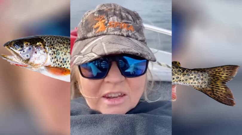 Did Trout Lady Kill Herself? Everything You Need To Know