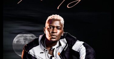 AUDIO Willy Paul - Kanyagaa MP3 DOWNLOAD