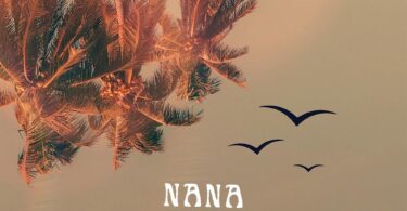 AUDIO Joshua Baraka - Nana Remix Ft King Promise X Bien X Joeboy MP3 DOWNLOAD