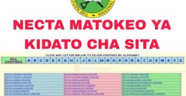 Matokeo Kidato cha Sita 2023/2024