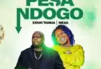 AUDIO Exray Taniua Ft Mejja - Pesa Ndogo MP3 DOWNLOAD