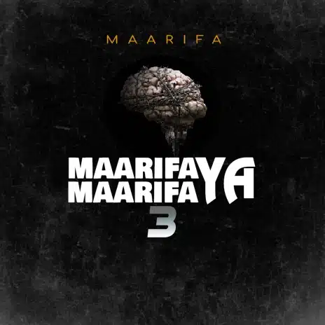 AUDIO Maarifa - Maarifa Ya Maarifa 3 MP3 DOWNLOAD