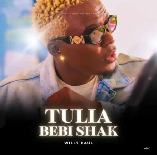 AUDIO Willy Paul – Tulia ( Bebi Shak ) MP3 DOWNLOAD