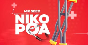 AUDIO Mr. Seed - Niko Poa MP3 DOWNLOAD