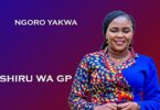 AUDIO Shiru Wa GP - Ngoro Yakwa MP3 DOWNLOAD