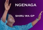 AUDIO Shiru Wa GP - Ngenaga MP3 DOWNLOAD