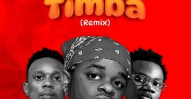 Whozu - Ameyatimba Remix Ft Billnass X Mbosso LYRICS