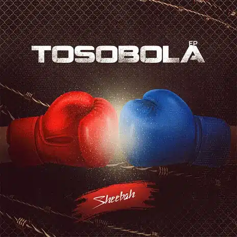 AUDIO Sheebah Karungi - Tosobola MP3 DOWNLOAD