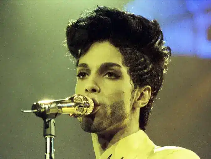 Prince Net Worth: The Purple Reign of Riches