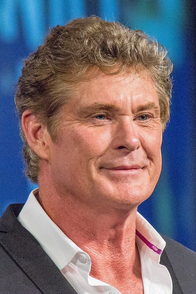 David Hasselhoff Net Worth The Financial Saga of a Television Icon