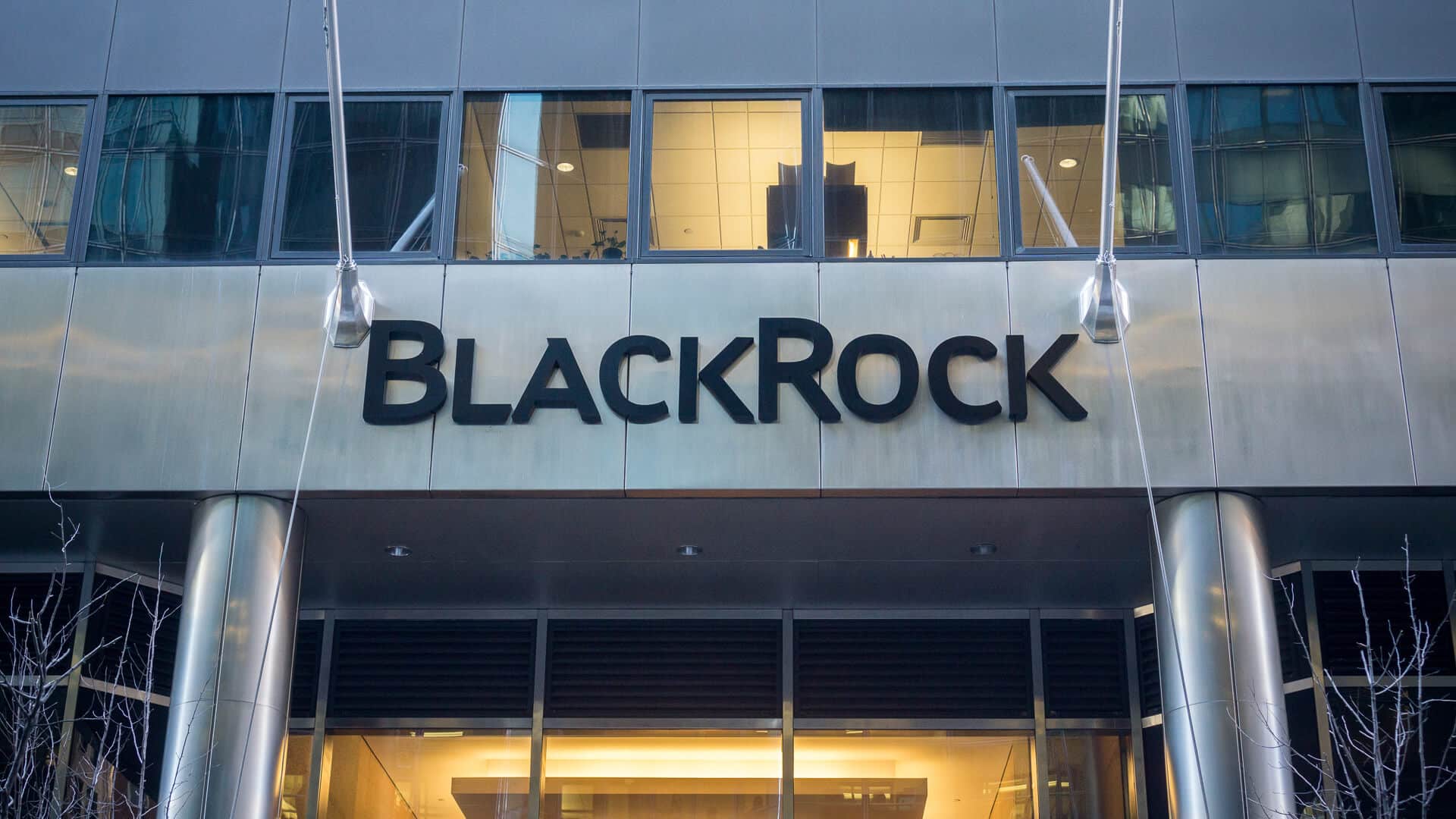 BlackRock Net Worth The Financial Footprint of a Global Investment