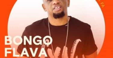 Download Bongo Flava MP3 Mix inayowashirikisha Mwana Fa, Darassa Ndani Ya Mdundo.com