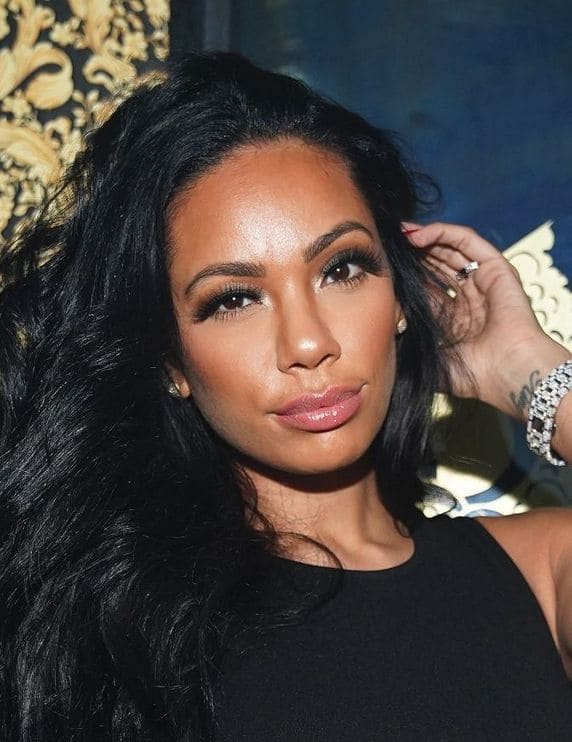 Erica Mena Net Worth