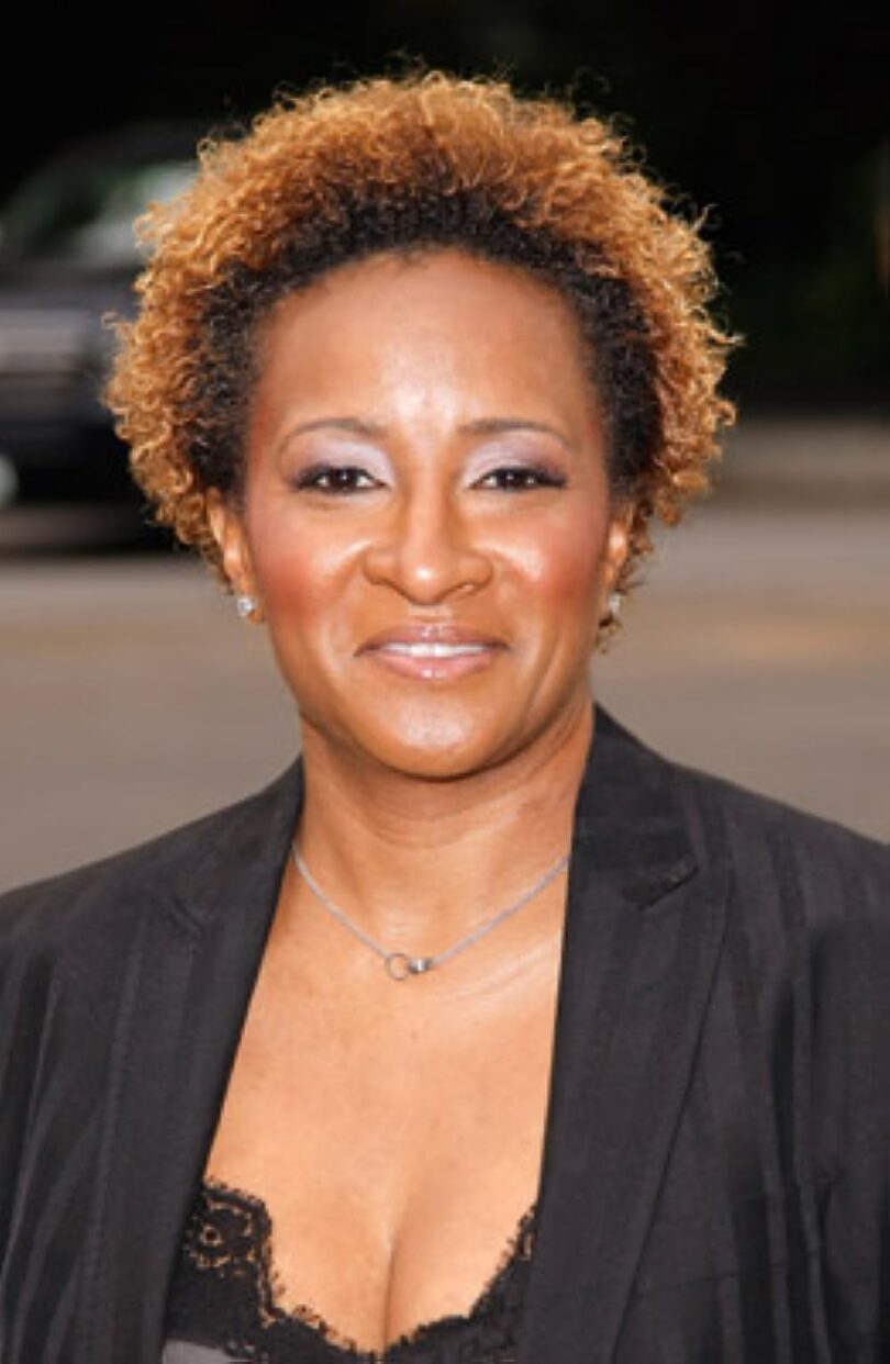 Wanda Sykes Net Worth: Laughing to the Bank