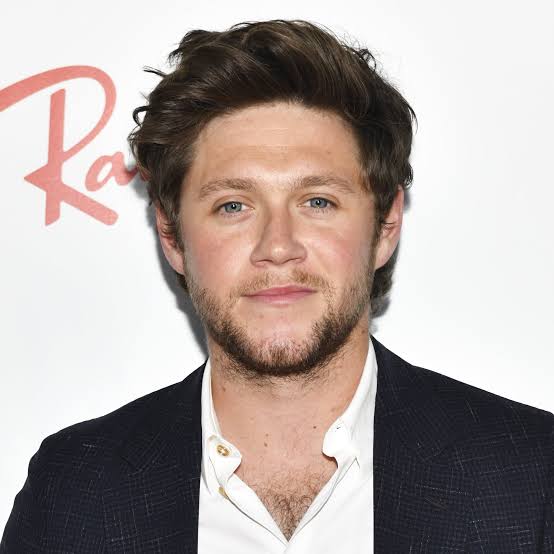 Niall Horan Net Worth: Charting the Wealth of the One Direction Star