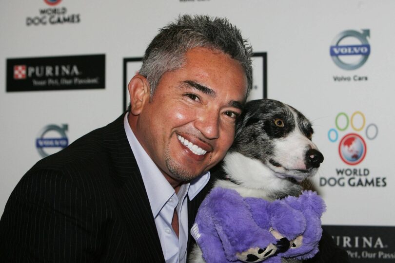 Cesar Millan Net Worth: The Financial Tale of the Dog Whisperer