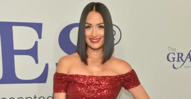 Nikki Bella Net Worth