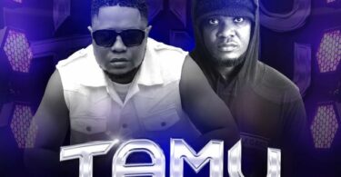 AUDIO Christian Bella Ft Fid Q - Tamu MP3 DOWNLOAD