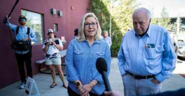 Liz Cheney Husband