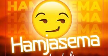 AUDIO Mavokali – Hamjasema MP3 DOWNLOAD