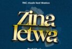 AUDIO TNC Ft. Marioo – Zinaletwa MP3 DOWNLOAD