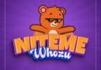 AUDIO Whozu – Niteme MP3 DOWNLOAD