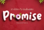 AUDIO Mabantu Ft Zedrim - Promise MP3 DOWNLOAD