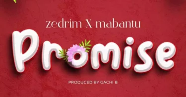 AUDIO Mabantu Ft Zedrim - Promise MP3 DOWNLOAD