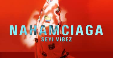 Listen to Seyi Vibez - NAHAMciaga Album