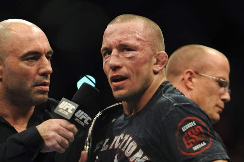 George St Pierre Net Worth