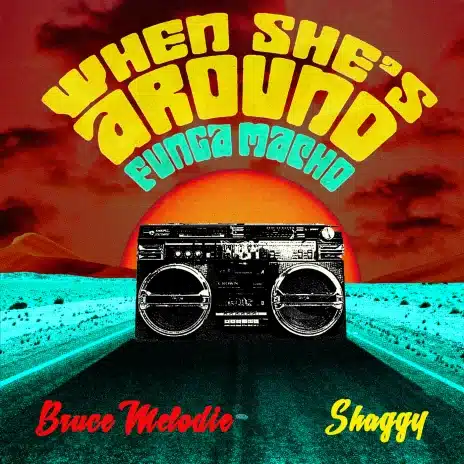 AUDIO Bruce Melodie Ft Shaggy - When She’s Around (Funga Macho) MP3 DOWNLOAD