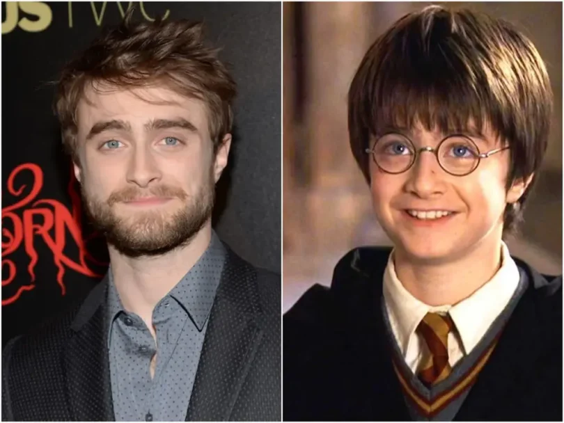 Harry Potter Net Worth