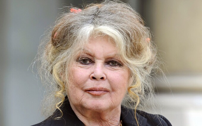 Brigitte Bardot Net Worth