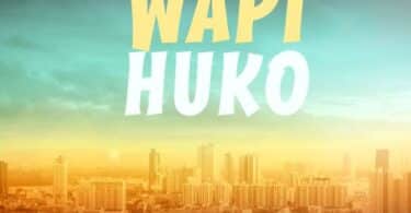 AUDIO Nay Wa Mitego – Wapi Huko MP3 DOWNLOAD