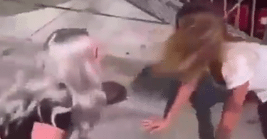 Video Shows Women Who Identify as Dogs Barking and Nearly Attacking Each Other