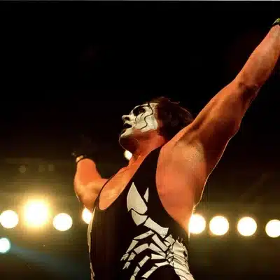 Sting Wrestler Net Worth