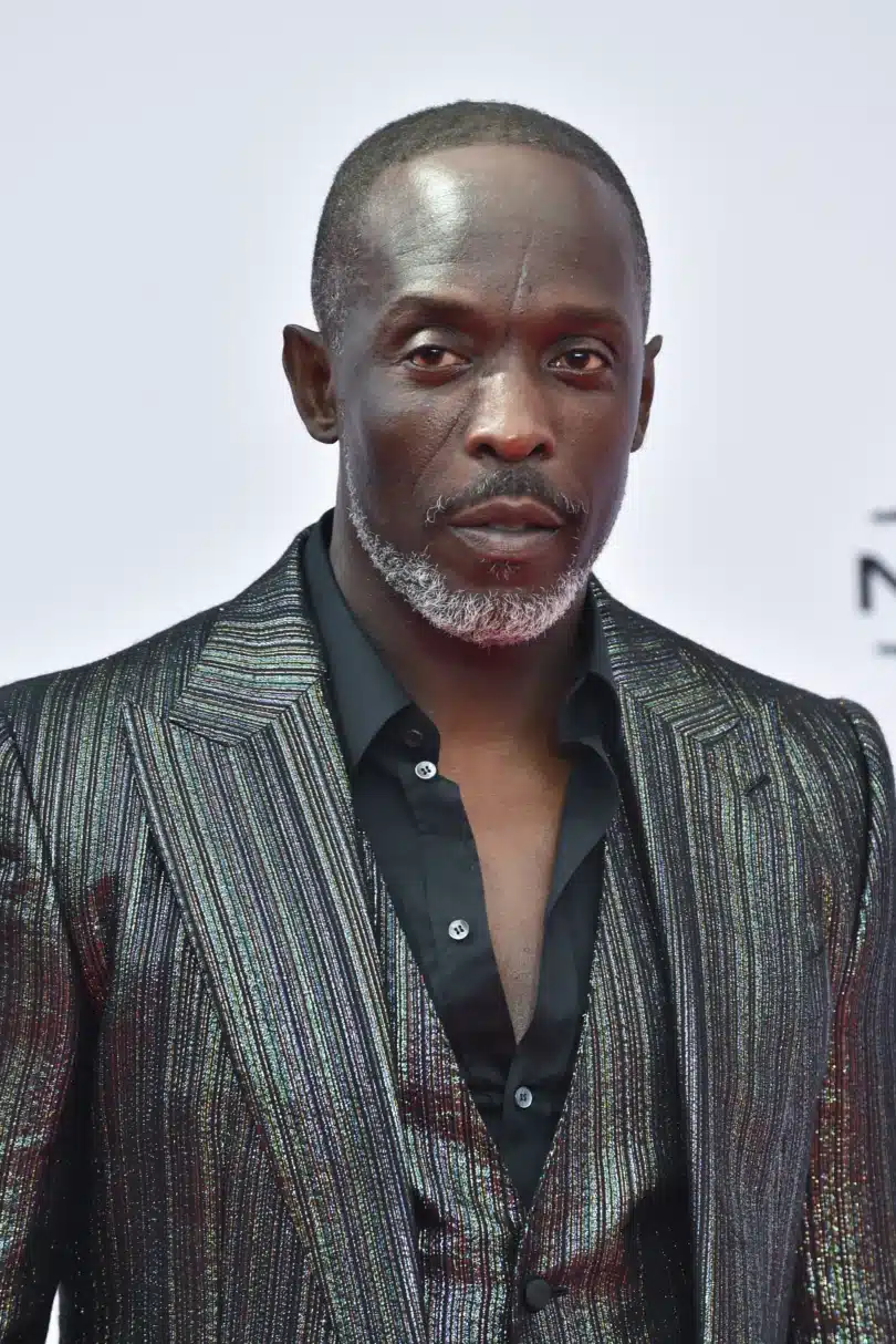 Is Michael K Williams Gay