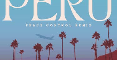 Listen to Fireboy DML - Peru (Peace Control Remix) Ft Peace Control