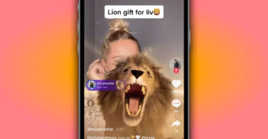 How Much is a Lion on TikTok?