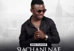 AUDIO Beka Flavour - Siachani Nae MP3 DOWNLOAD