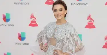 Angelique Boyer Net Worth