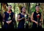 AUDIO Msanii Music Group - PANA MAHALI PAZURI MP3 DOWNLOAD