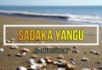 AUDIO Fr Amadeus Kauki - Sadaka Yangu MP3 DOWNLOAD