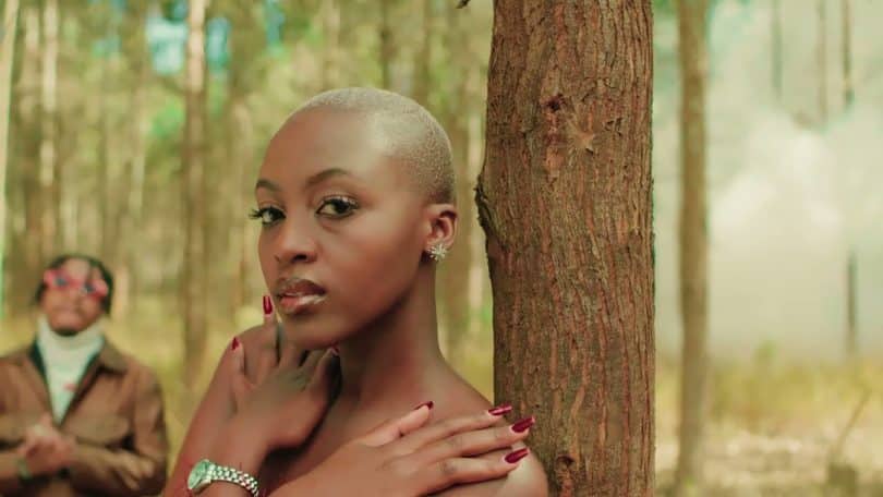 VIDEO Jay Melody - Nakupenda (Video Short Version 2) MP4 DOWNLOAD